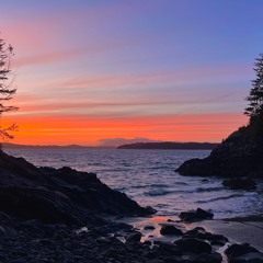 Victim Of Your Loving Draft