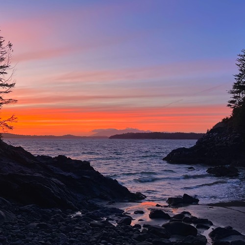 Victim Of Your Loving Draft