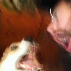 Everything Appears To Be Under Control