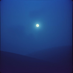 Falling Shadows