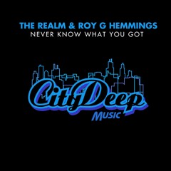 The Realm & Roy G Hemmings - Never Know What You Got (Vocal Mix)