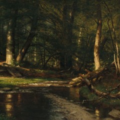 Streams of Consciousness