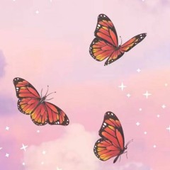 Butterfly🦋🦋✨✨