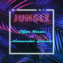 Jungle In Africa - Offer Nissim VS Alessander Gelassi (DJ Michelove Mashup)