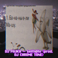 DJ PAJKA - $ELFH@TE (Prod. DJ CHROME TONE)