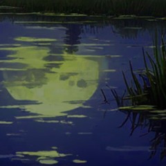 The ancient and languid waters of the sea of death