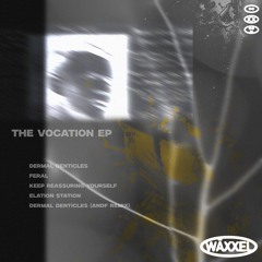 AN PREMIERE | Koexistant - Elation Station [WXL014]