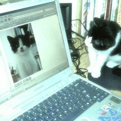 fckdup [prod. dercept]