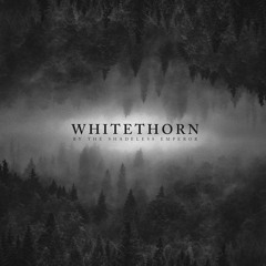 Whitethorn