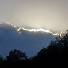 Shamwari_Yangu_ym.mp3