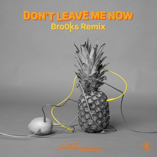 Lost Frequencies. Mathieu Koss, Brooks - Don't Leave Me Now (Brooks Remix)(MHC Remake)