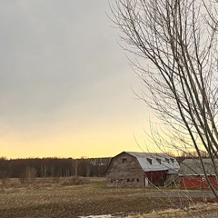 06-16-24-yellowsky