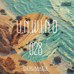 U.N.W.I.N.D 028 ( 18 August 2024 )