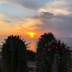 Sub Sahara 28 – Richard Marshall [with Valentino Barrioseta]