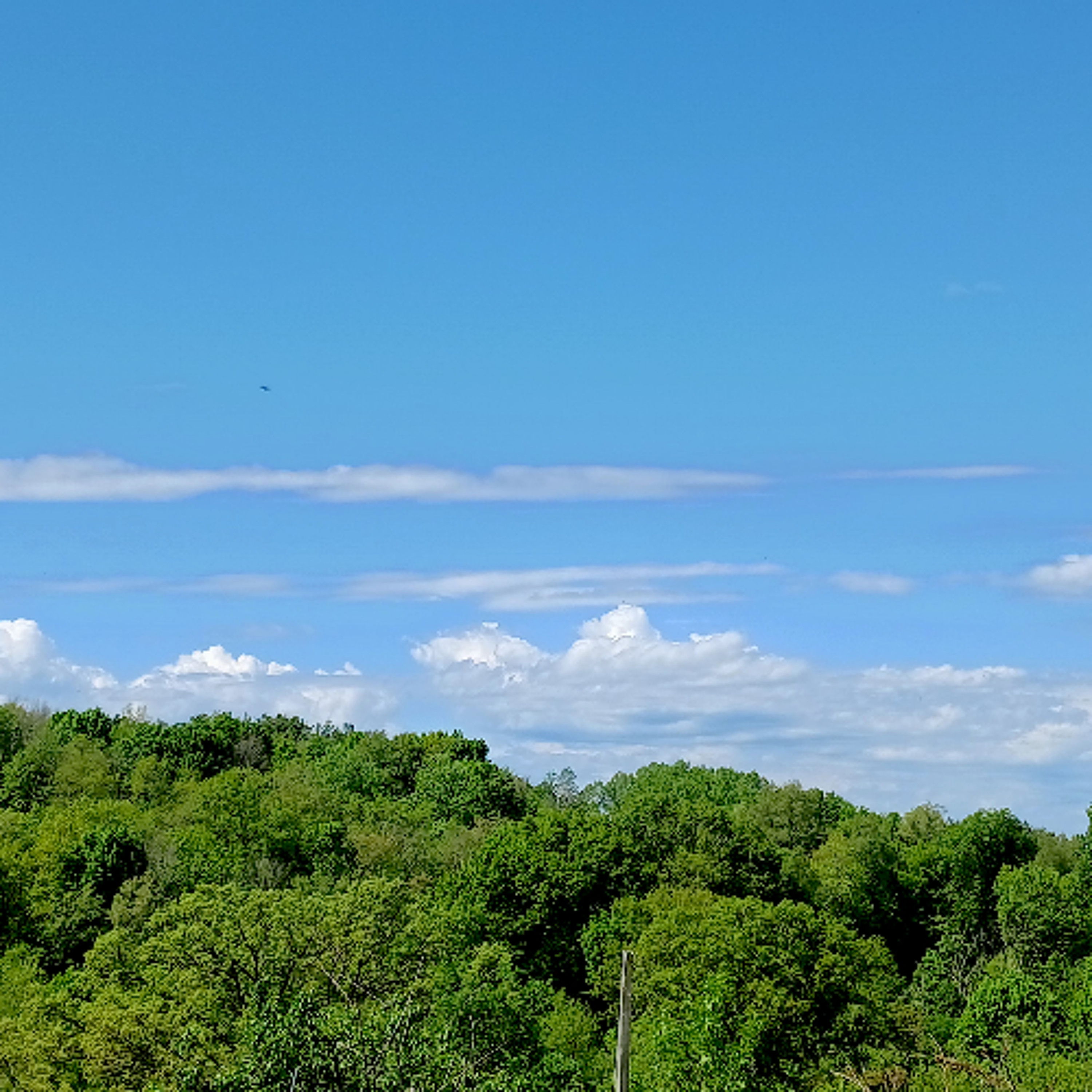 Forecast from Wednesday, 5-27-26