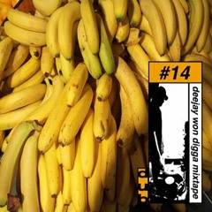 Digga Mixtape Volume 14 - The Dub Mixtape (2000)