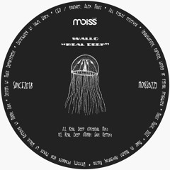 Wallo - Real Deep (MiNNt Edit Remix)