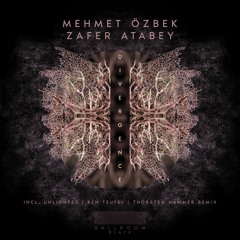 Mehmet Özbek, Zafer Atabey - Divergence