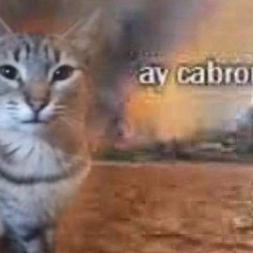 EL MEJOR DE LA NEW WAVE