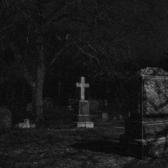 Кладбище домашних мыслей