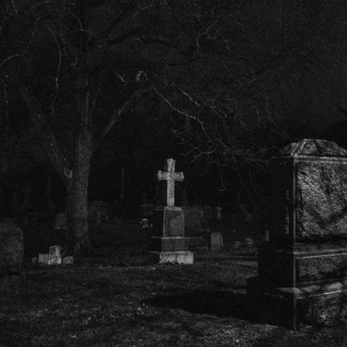 Кладбище домашних мыслей