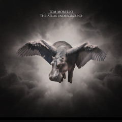 How Long (feat. Steve Aoki & Tim McIlrath)