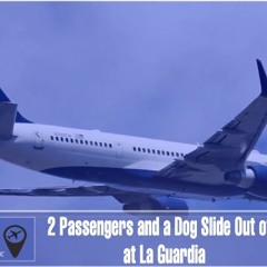 Two Passengers Open Delta Flight Cabin Door, Slide Out Of Moving Plane