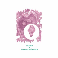 Roxane Métayer - Soma elaphros