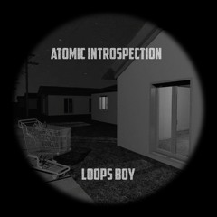 LOOPS BOY - ATOMIC INTROSPECTION [MODULAR PRJCT]