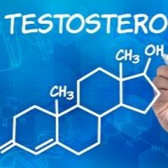 Testosterone Replacement Therapy (TRT) Explained