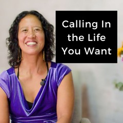 Episode 225 - Calling In The Life You Want