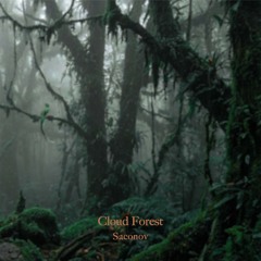 Cloud Forest – Soundtrack to “IYÖK AMI” (1999)