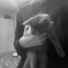 شسويلك اقص من قلبي و انطيلك