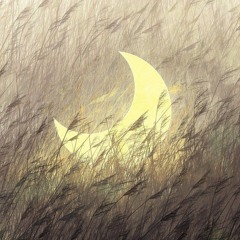 야래향 cover