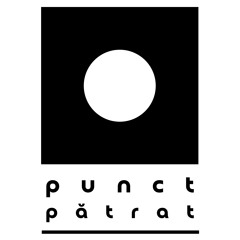 punct pătrat - Alekk Guest Mix (vinyl only)