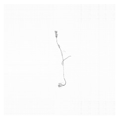 Consolation No. 3 in D-Flat Major