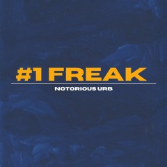#1 Freak - R0DDY R1CCH (Demon Time Club Remix)