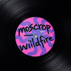 Wildfire (Radio Edit)