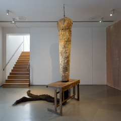 (AD) Mónica Mays 'Without Ornamental Value' 2024