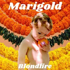Marigold Blondfire COVER (박두영 커버)