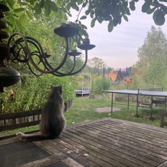 Tränen fallen weicher