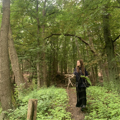 Fairies in the woods-Tonaya Kayra & HangdrumMo