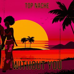 top nache - without you