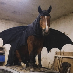 I'm Hitting My DMT Cart Right Now