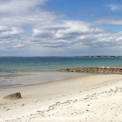 Shores