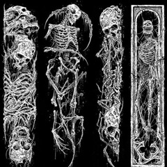 skeletons (kurtains)