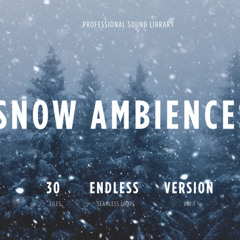 Snow Ambiences Vol.1