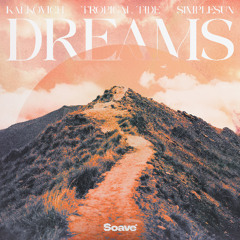 Kalkovich, Tropical Tide & simplesun - Dreams
