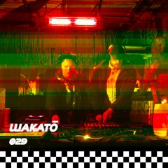 Wakatō | Vage Vormen 029