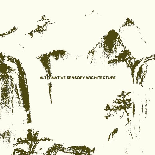 Alternative Sensory Architecture